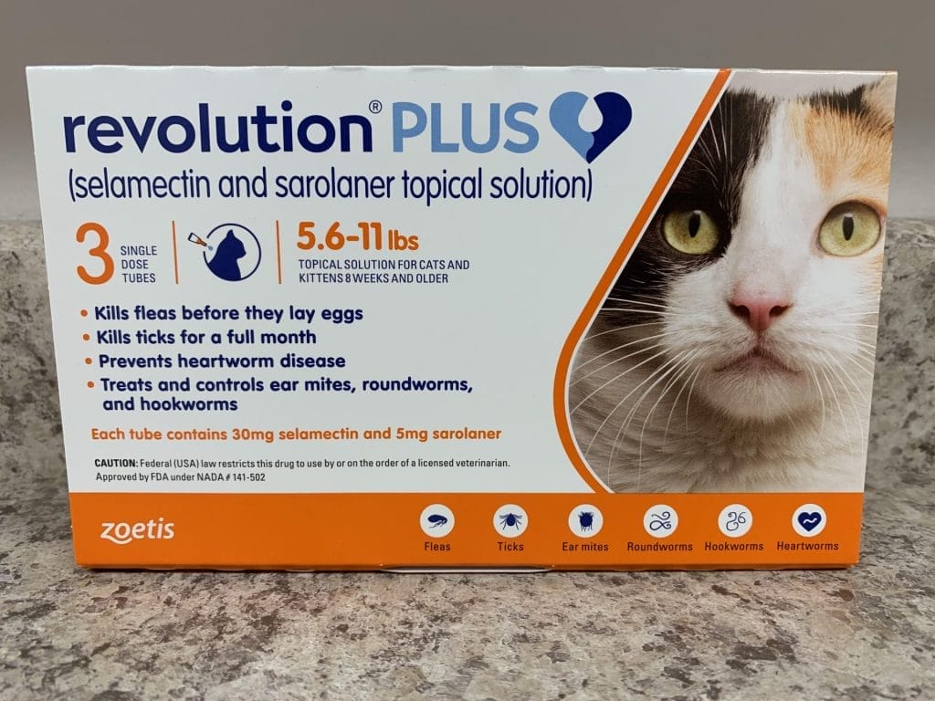 Ear Mites in Cats - Northern Veterinary Clinic, image size:1024x768